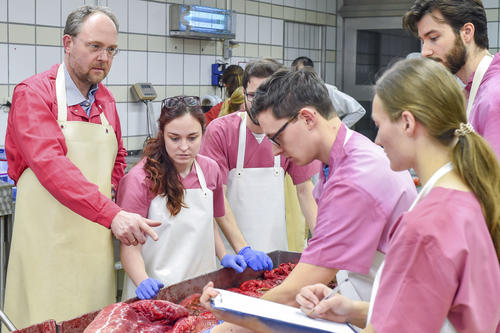 Learning from a sample: Achim Gruber with students.