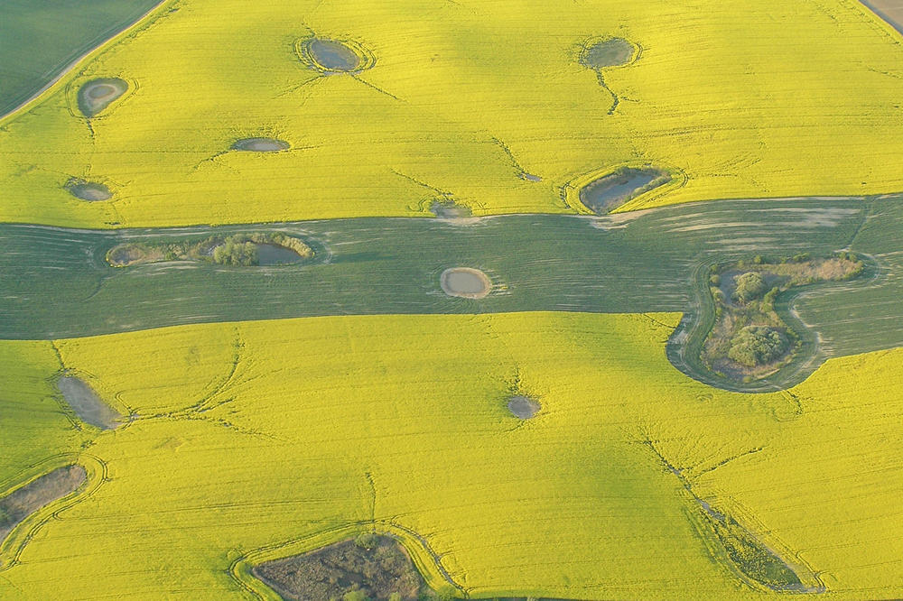 Toteis-Löcher als Lebensraum. Eingebettet in die intensiv genutzte Agrarlandschaft der Uckermark erhält ein Netzwerk aus kleinen Tümpeln, sogenannten Söllen, die lokale Artenvielfalt. Das Bild entstand in der Region des Flusses Quillow.