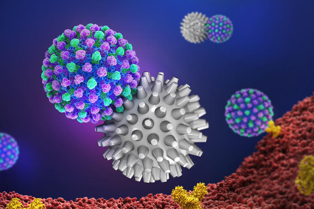 Durch eine Abschirmung der Virusoberfläche (blau-grün) mit stacheligen multivalenten Nanopartikeln (grau) wird das Andocken an die Zellmembran (rot) –  und damit eine Infektion  – effizient verhindert.