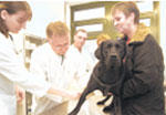 Die neuartige Analyse der Veterinäre ist kostengünstig und zuverlässig<br>Foto: FU 