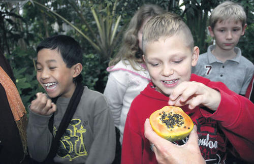 Ganz schön scharf: Im Botanischen Garten der Freien Universität durften die Kinder auch Papayasamen kosten.