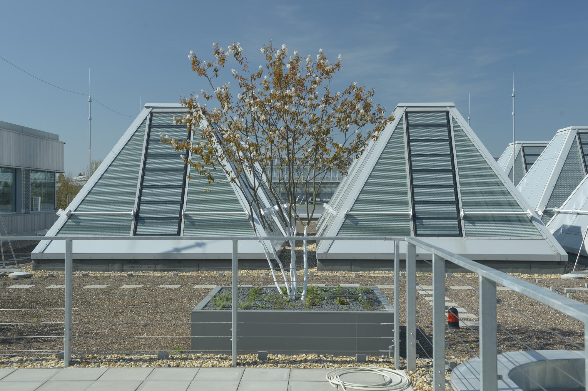 Begrünte Dachterrassen