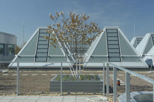 Begrünte Dachterrassen