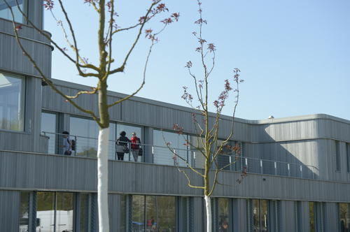 Terrassen