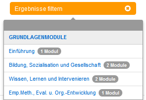 Der Modulfilter