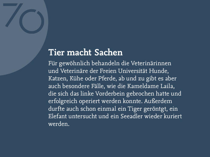 Tier macht Sachen