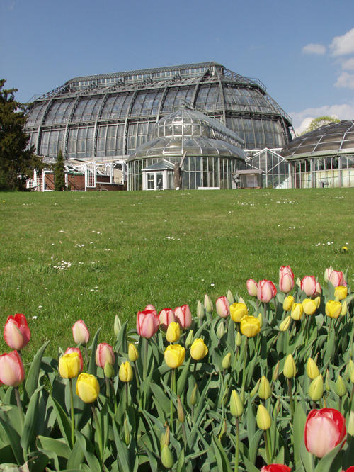 Botanischer Garten Botanisches Museum Fundament Gesundheit Freie Universitat Berlin