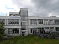 Silberlaube
