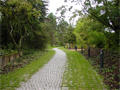 neuer Weg zwischen Haus H und dem Campus-Park