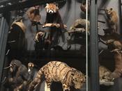 Nachts im Museum