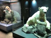 Nachts im Museum