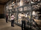 Nachts im Museum