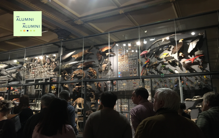 Nachts im Museum