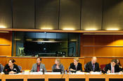 Panel discussion on the European identity in the European Parliament