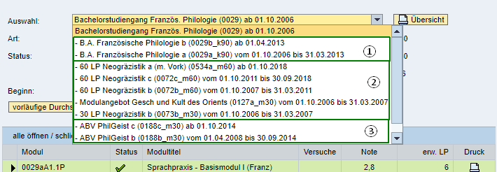 Erweiterte Anzeige in der Auswahlliste