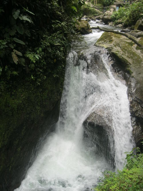 Bild_Wasserfall