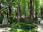 Fudan University