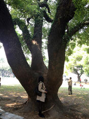 Sun Yat-sen University