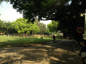 Sun Yat-sen University