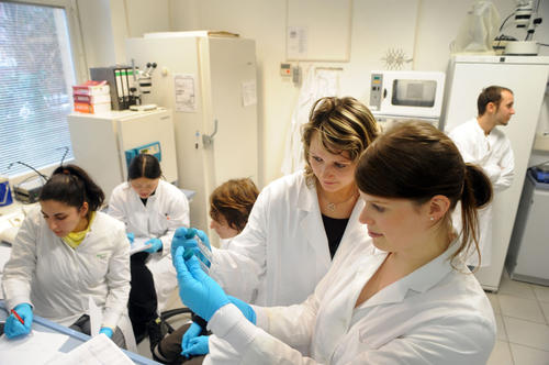 Die Forschung der Freien Universität Berlin zeichnet sich durch die Vielfalt ihrer wissenschaftlichen Netzwerke sowie durch interdisziplinäre, schwerpunktsetzende und zukunftsweisende Forschungsfelder aus.
