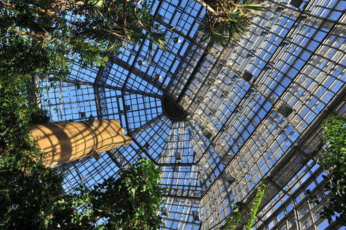 Großes Tropenhaus im Botanischen Garten