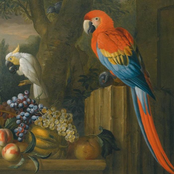 , A Still Life With Fruit, Parrots And a Cockatoo