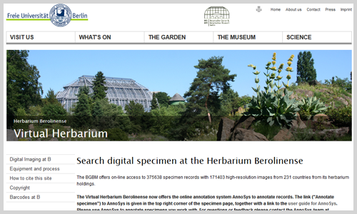Virtuelles Herbarium (Screenshot)