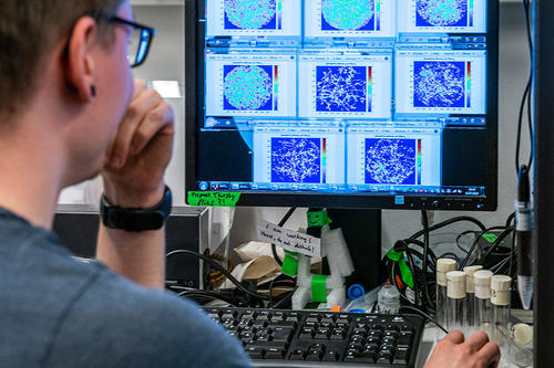 Wie viel Bildbearbeitung ist Manipulation? Im Rahmen der Woche über gute wissenschaftliche Praxis hält Tiermedizinprofessor Achim Gruber einen Vortrag zu diesem Thema.