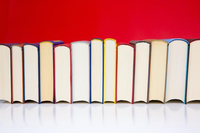 books-5935156_1280_Image by Hermann Traub from Pixabay