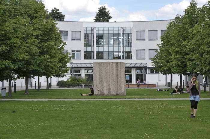 Grüne Wiese