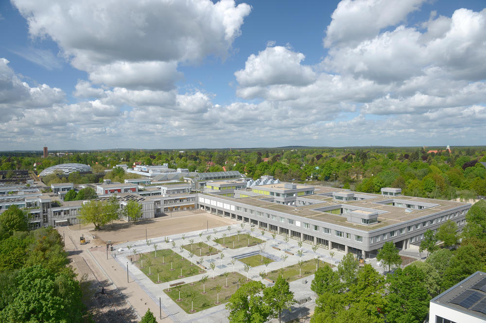 Das größte eigenständige Neubauprojekt in der Geschichte der Freien Universität ist fertig, die sogenannten Holzlaube.