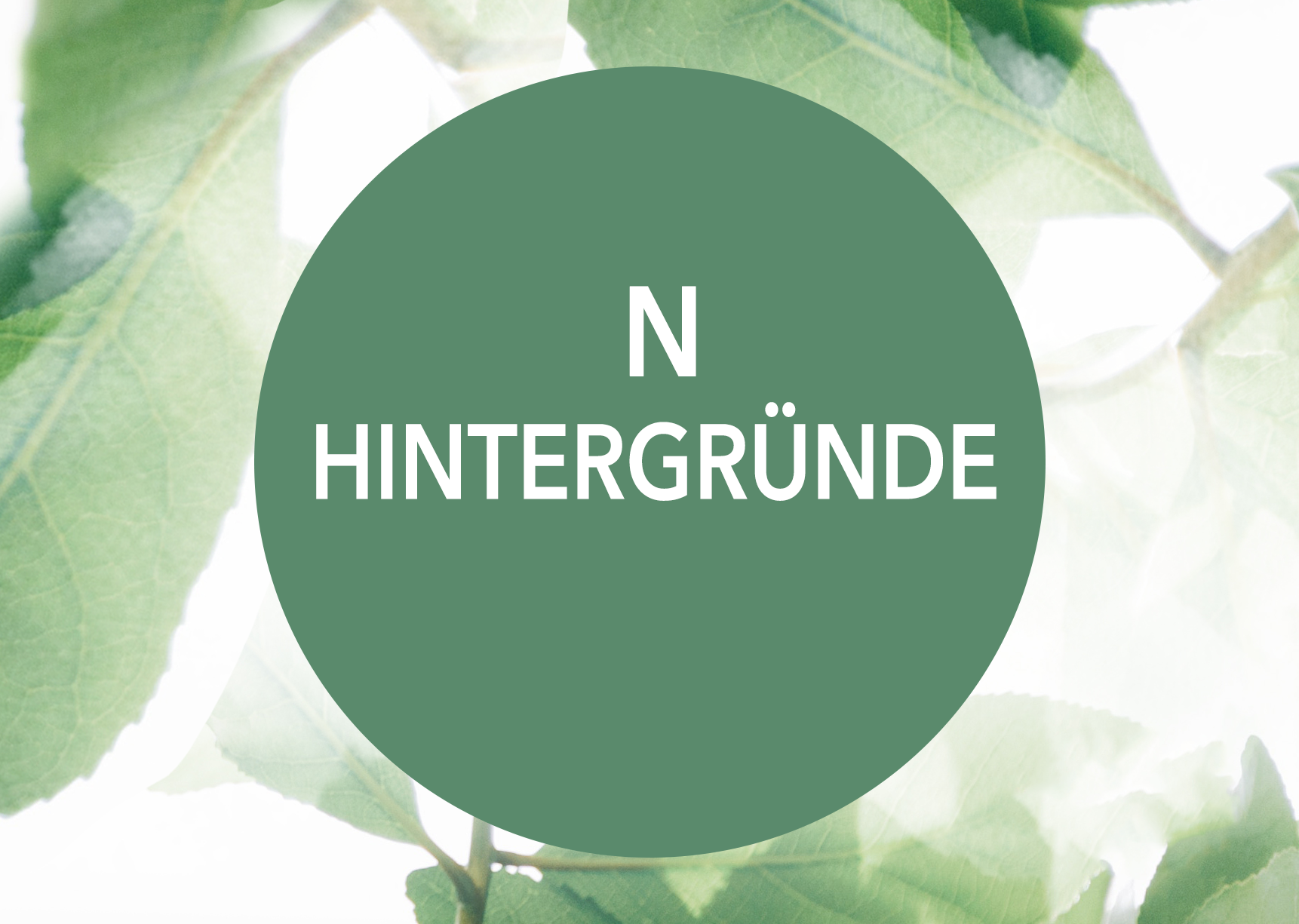 Event N Hintergründe