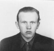 Heinz Krause
