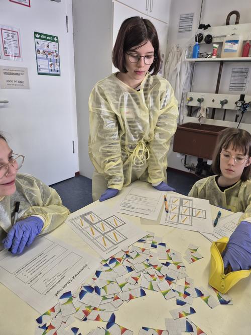 Marla Talbot war Teilnehmerin des Workshops „Lichtgeheimnisse – Reise ins Regenbogenspektrum“ am Fachbereich Physik und besucht die 5. Klasse des Goethe-Gymnasiums in Wilmersdorf, Foto: Nelly Mouawad