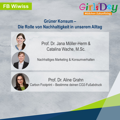 wiwiss_grüner_konsum