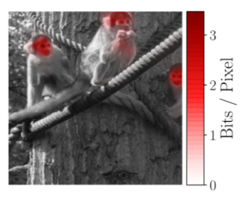 2020_Schulz_arxiv_2001_00396
