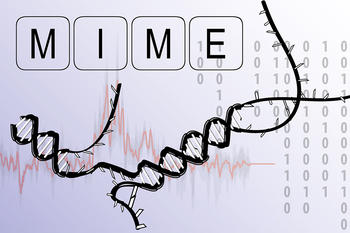 Die molekularbiologische Methode MIME (Mutational Interference Mapping Experiment), ermöglicht, die Interaktion von RNA mit ihrem jeweiligen Reaktionspartner im Detail zu untersuchen und zu beschreiben.