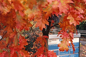 Wegweiser im Herbst