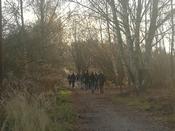 Pat:innen-Treffen Blühender Campus am 13.11. auf der Lichterfelder Weidelandschaft