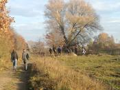 Pat:innen-Treffen Blühender Campus am 13.11. auf der Lichterfelder Weidelandschaft