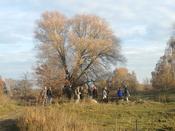 Pat:innen-Treffen Blühender Campus am 13.11. auf der Lichterfelder Weidelandschaft