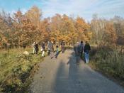 Pat:innen-Treffen Blühender Campus am 13.11. auf der Lichterfelder Weidelandschaft