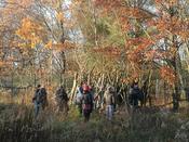 Pat:innen-Treffen Blühender Campus am 13.11. auf der Lichterfelder Weidelandschaft