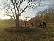 Pat:innen-Treffen Blühender Campus am 13.11. auf der Lichterfelder Weidelandschaft