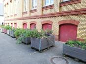 Runder Gartentisch Schul- und Kitagärten am 7. Juni in der Kopernikus-Oberschule