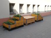 Runder Gartentisch Schul- und Kitagärten am 7. Juni in der Kopernikus-Oberschule