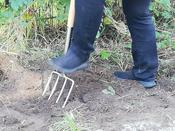 Beim Runden Gartentisch Schul- und Kitagärten am 14. September 2023