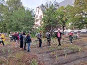 2. Runder Gartentisch Schul- und Kitagärten - naturnah, ökologisch, klimaangepasst