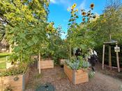 Beim 2. Runden Gartentisch Schul- und Kitagärten am 17. September 2025