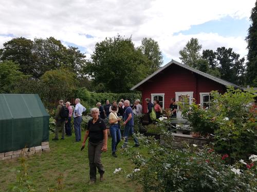Runder Tisch Kleingarten